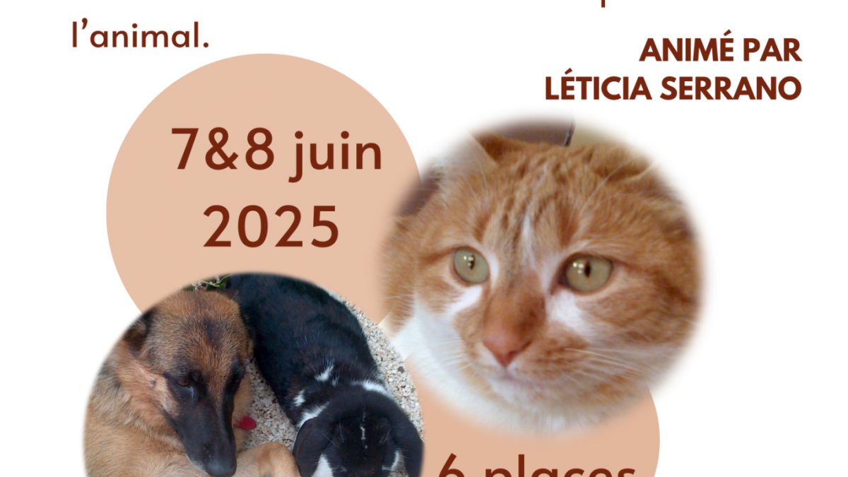 Flyer stage 7 8 juin 2025